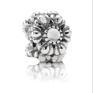 ʕ·ᴥ·ʔAuthentic Pandora April Birthday Blooms Charm  Retired 790580BK